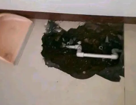 湛江卫生间测漏水多少钱